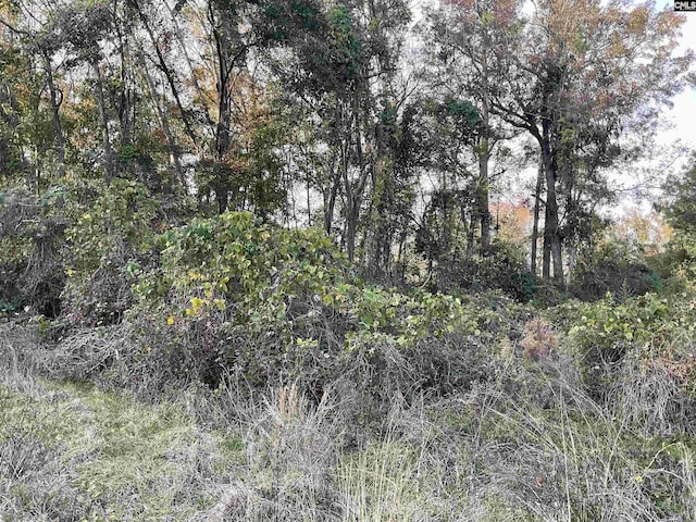 3551 Moonlight Rd, Barnwell, SC 29853