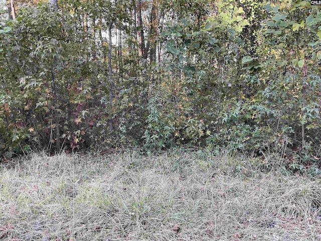3551 Moonlight Rd, Barnwell, SC 29853