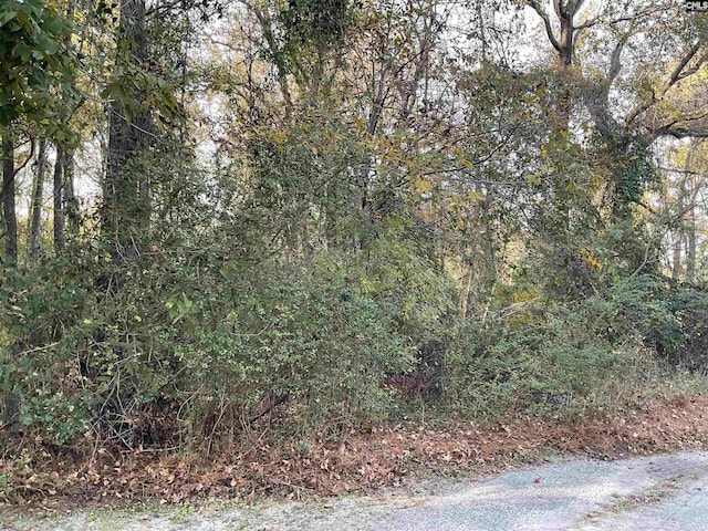 3551 Moonlight Rd, Barnwell, SC 29853