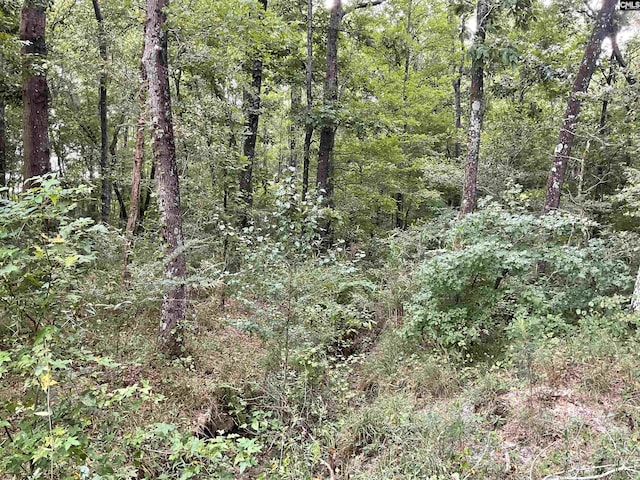 3551 Moonlight Rd, Barnwell, SC 29853
