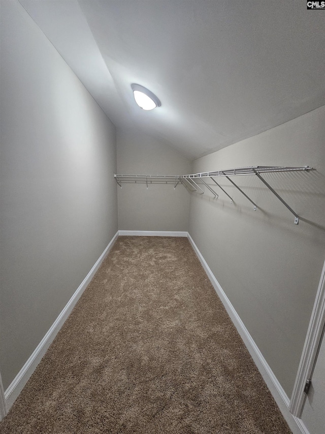 2101 Durham Dr, West Columbia, SC 29170 - spacious closet with carpet flooring and vaulted ceiling