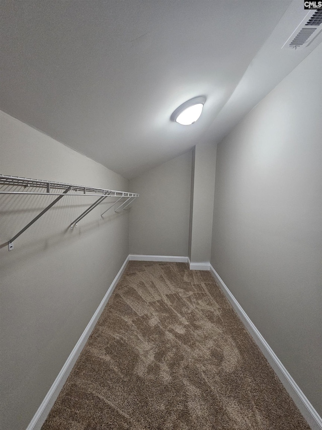 2101 Durham Dr, West Columbia, SC 29170 - spacious closet with vaulted ceiling and carpet