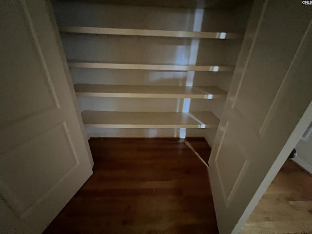 218 Scarborough Way, Lexington, SC 29072 - view of pantry
