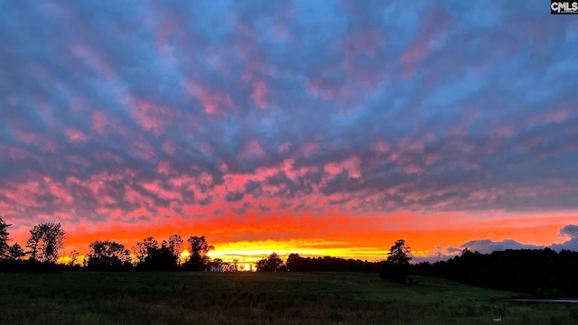 223 Cammack Rd, Winnsboro, SC 29180 - view of local wilderness