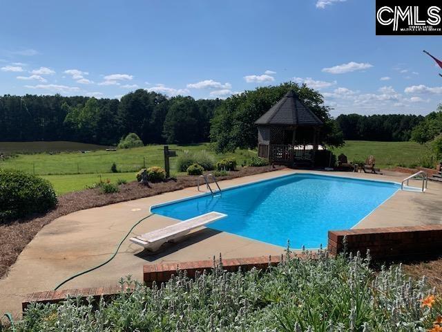 223 Cammack Rd, Winnsboro, SC 29180 - swimming pool with a gazebo, a diving board, a patio area, and a forest view