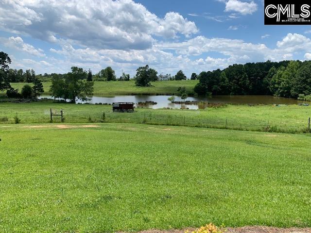 223 Cammack Rd, Winnsboro, SC 29180 - view of yard with a water view and a rural view