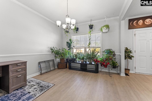218 Founders Ridge Rd, Columbia, SC 29229 - office space featuring light wood-style floors, a chandelier, and ornamental molding