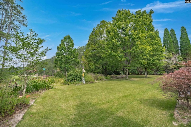 2432 Bermuda Hills Rd, Columbia, SC 29223 - view of green lawn