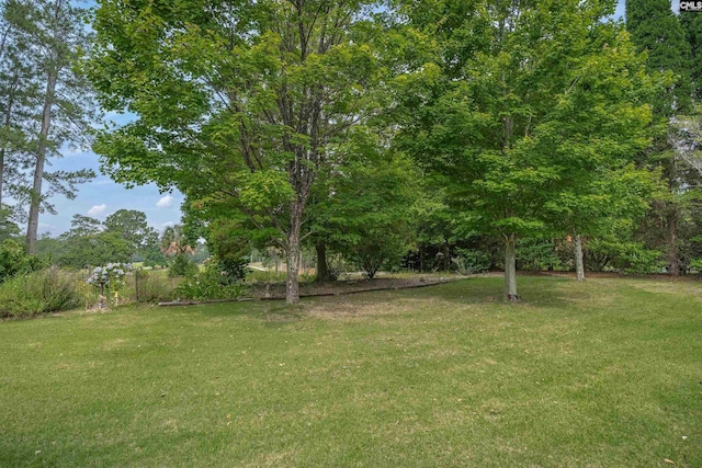 2432 Bermuda Hills Rd, Columbia, SC 29223 - view of grassy yard