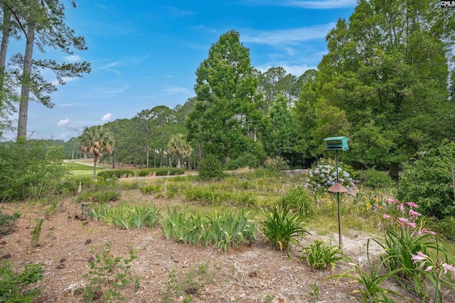 2432 Bermuda Hills Rd, Columbia, SC 29223 - view of yard