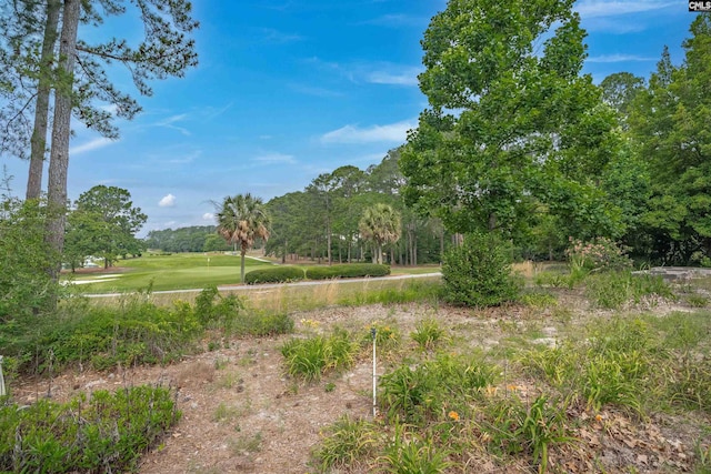 2432 Bermuda Hills Rd, Columbia, SC 29223 - view of yard with view of scattered trees