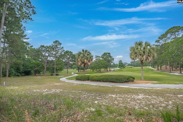 2432 Bermuda Hills Rd, Columbia, SC 29223 - surrounding community featuring a yard