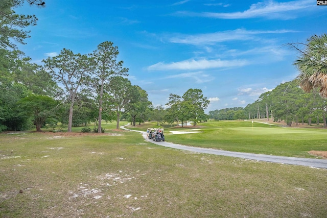 2432 Bermuda Hills Rd, Columbia, SC 29223 - view of home's community with view of scattered trees, a yard, and golf course view