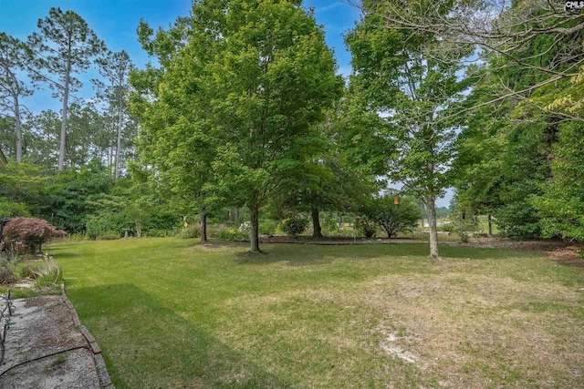 2432 Bermuda Hills Rd, Columbia, SC 29223 - view of grassy yard