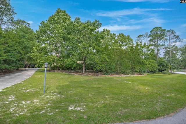 2432 Bermuda Hills Rd, Columbia, SC 29223 - view of grassy yard
