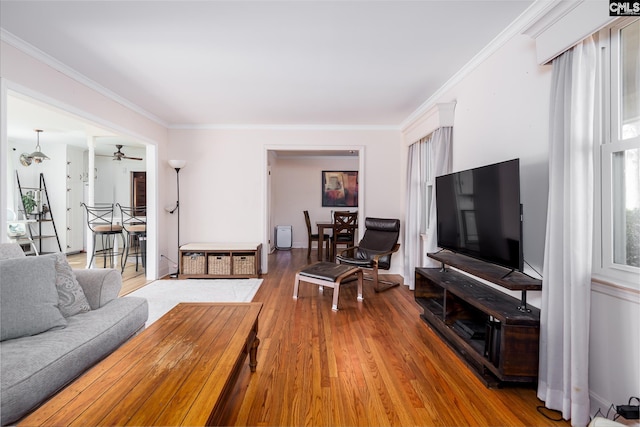 289 King Charles Rd, Columbia, SC 29209 - living room featuring wood-type flooring, a ceiling fan, and ornamental molding