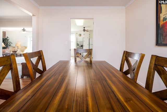 289 King Charles Rd, Columbia, SC 29209 - dining area with ornamental molding and a ceiling fan