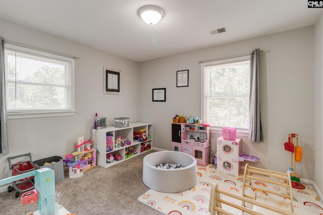 330 Grantham Rd, Irmo, SC 29063 - playroom with plenty of natural light and carpet flooring