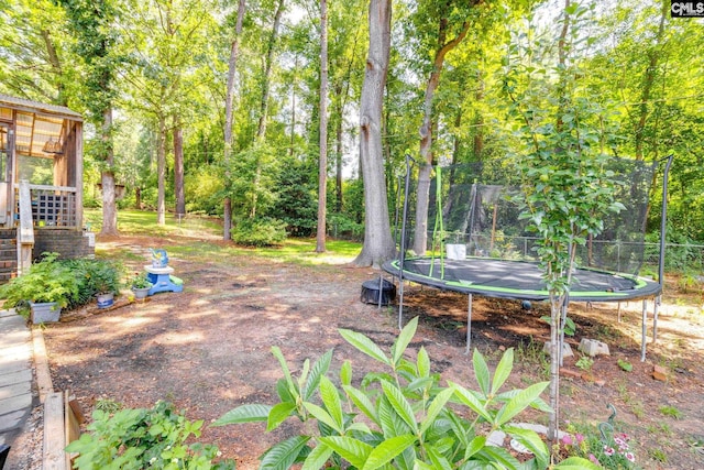 330 Grantham Rd, Irmo, SC 29063 - view of yard featuring a trampoline