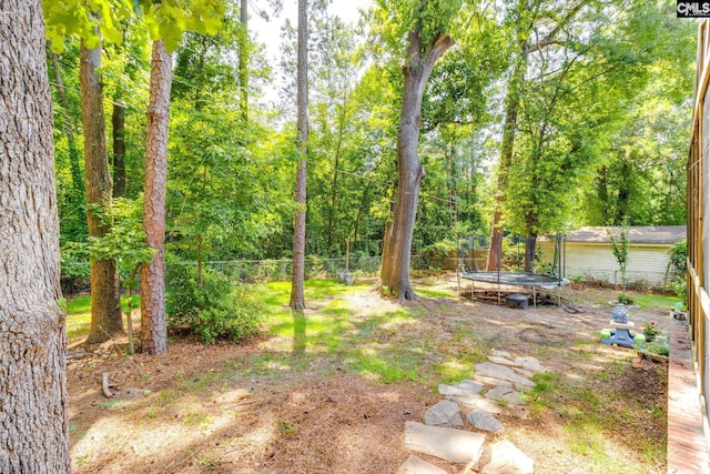 330 Grantham Rd, Irmo, SC 29063 - view of yard with a trampoline