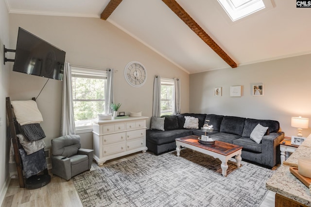 330 Grantham Rd, Irmo, SC 29063 - living room featuring light wood-style flooring, plenty of natural light, and a skylight