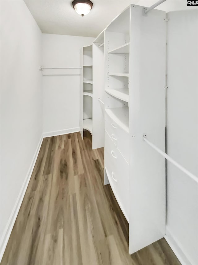 1524 Highway Church Rd, Elgin, SC 29045 - walk in closet with light wood finished floors