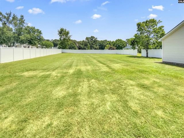 1524 Highway Church Rd, Elgin, SC 29045 - view of yard