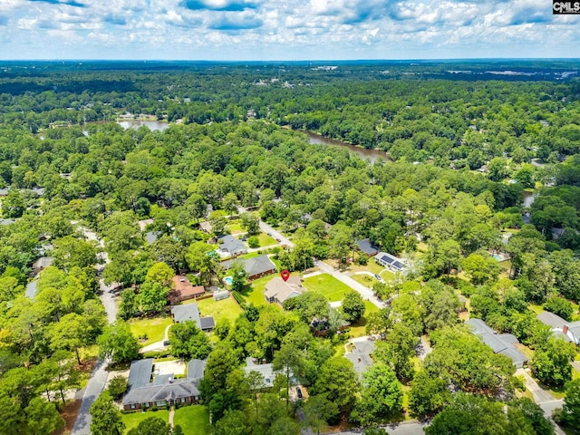 6150 Crabtree Rd, Columbia, SC 29206 - aerial view of residential area with a heavily wooded area and a nearby body of water