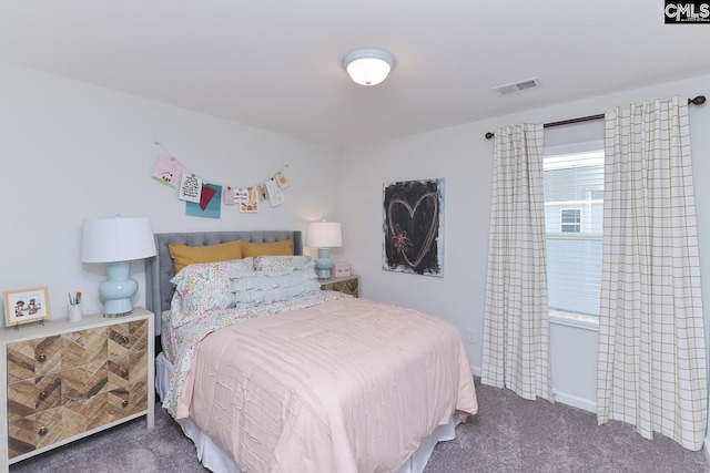 15 Ozark Dr, Columbia, SC 29223 - view of carpeted bedroom