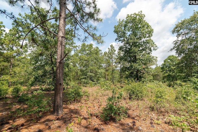 216 Hound Hollow Rd, Camden, SC 29020
