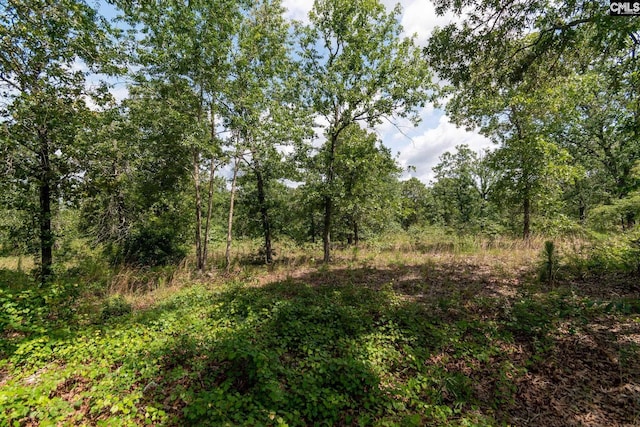 216 Hound Hollow Rd, Camden, SC 29020