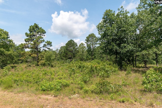 216 Hound Hollow Rd, Camden, SC 29020