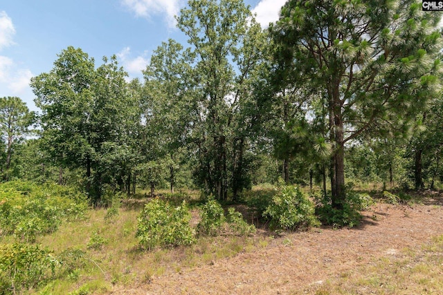 216 Hound Hollow Rd, Camden, SC 29020