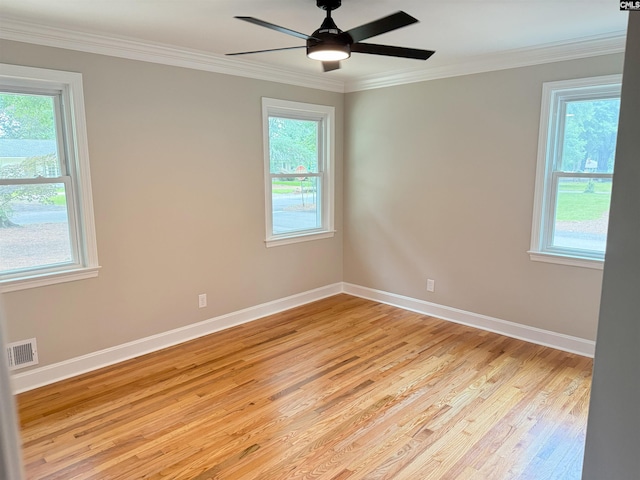 1341 Sanford Rd, Columbia, SC 29206 - spare room with healthy amount of natural light, light wood-style floors, ornamental molding, and ceiling fan