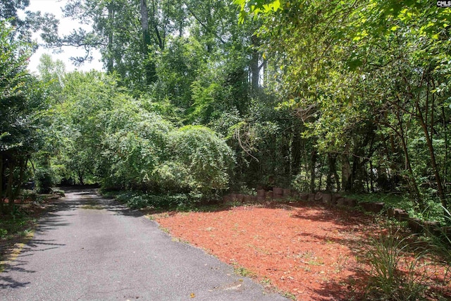 110 Summerlea Dr, Columbia, SC 29203 - view of road featuring a wooded view