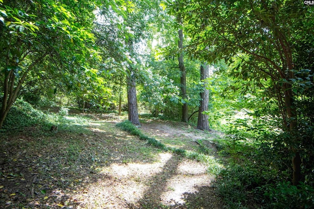 110 Summerlea Dr, Columbia, SC 29203 - view of wooded area