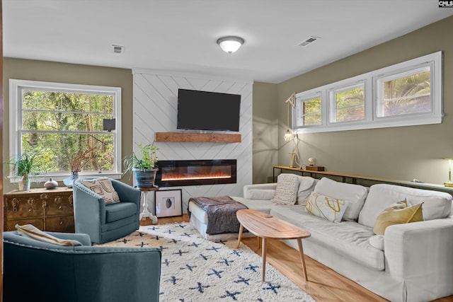 110 Summerlea Dr, Columbia, SC 29203 - living room featuring wood finished floors and a fireplace