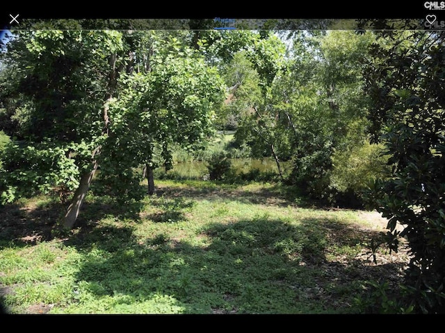 205 Branch Hill Ln, Arcadia Lakes, SC 29223