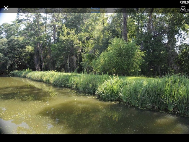 205 Branch Hill Ln, Arcadia Lakes, SC 29223