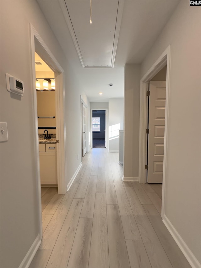 15 Runelle Ln, Columbia, SC 29229 - hall featuring attic access and light wood-type flooring