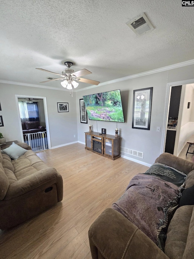 704 Cambridge, Lugoff, SC 29078 - living room with ornamental molding, a ceiling fan, light wood-type flooring, and a textured ceiling