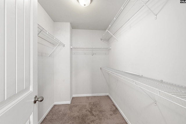 331 Aberlour Dr, Sumter, SC 29154 - walk in closet featuring carpet flooring
