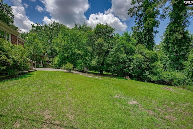 39 Downing, Columbia, SC 29209 - view of grassy yard