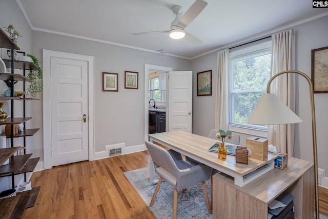 39 Downing, Columbia, SC 29209 - home office featuring plenty of natural light, light wood-style flooring, ceiling fan, and crown molding