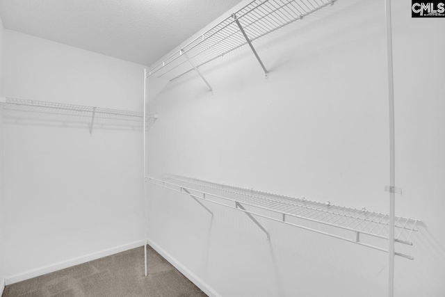 127 Waterville Dr, Columbia, SC 29229 - spacious closet with carpet flooring