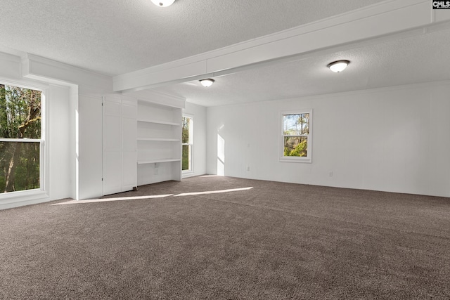 301 Colony Hill Rd, Lexington, SC 29072 - empty room with carpet floors, a textured ceiling, and ornamental molding