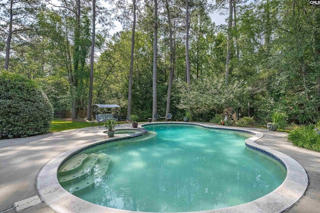 8 Sand Spur Rd, Columbia, SC 29223 - view of pool with a patio area, a pool with connected hot tub, and a view of trees