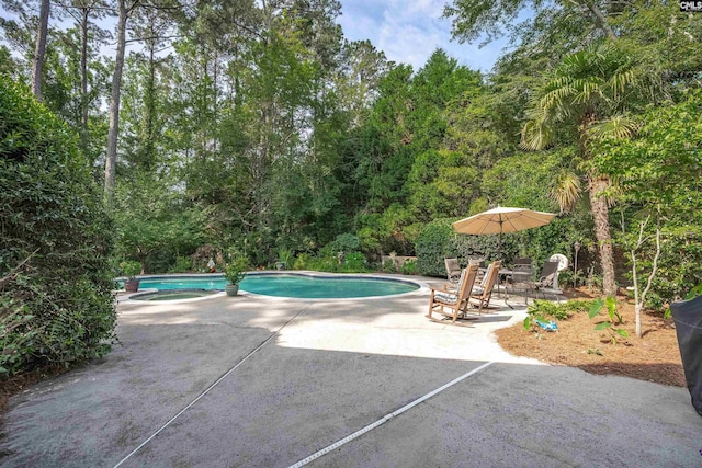 8 Sand Spur Rd, Columbia, SC 29223 - view of pool with a patio area, a wooded view, and a pool with connected hot tub