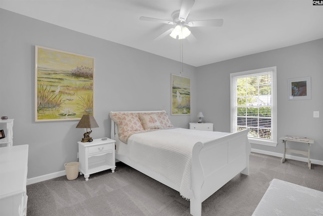 8 Sand Spur Rd, Columbia, SC 29223 - bedroom featuring carpet floors and ceiling fan