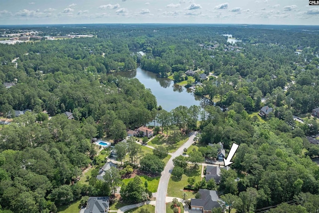 8 Sand Spur Rd, Columbia, SC 29223 - bird's eye view of a forest and a large body of water